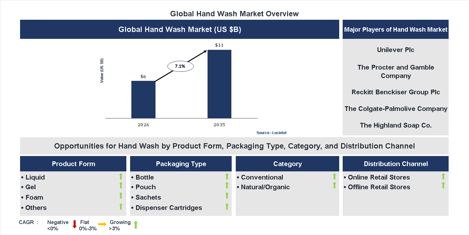 Hand Wash Market Trends and Forecast